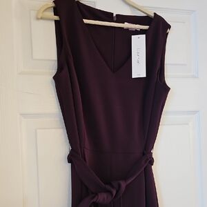 Elegant Sleeveless Jumpsuit in Deep Purple